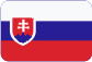 Stolní hokejová liga Slovensky